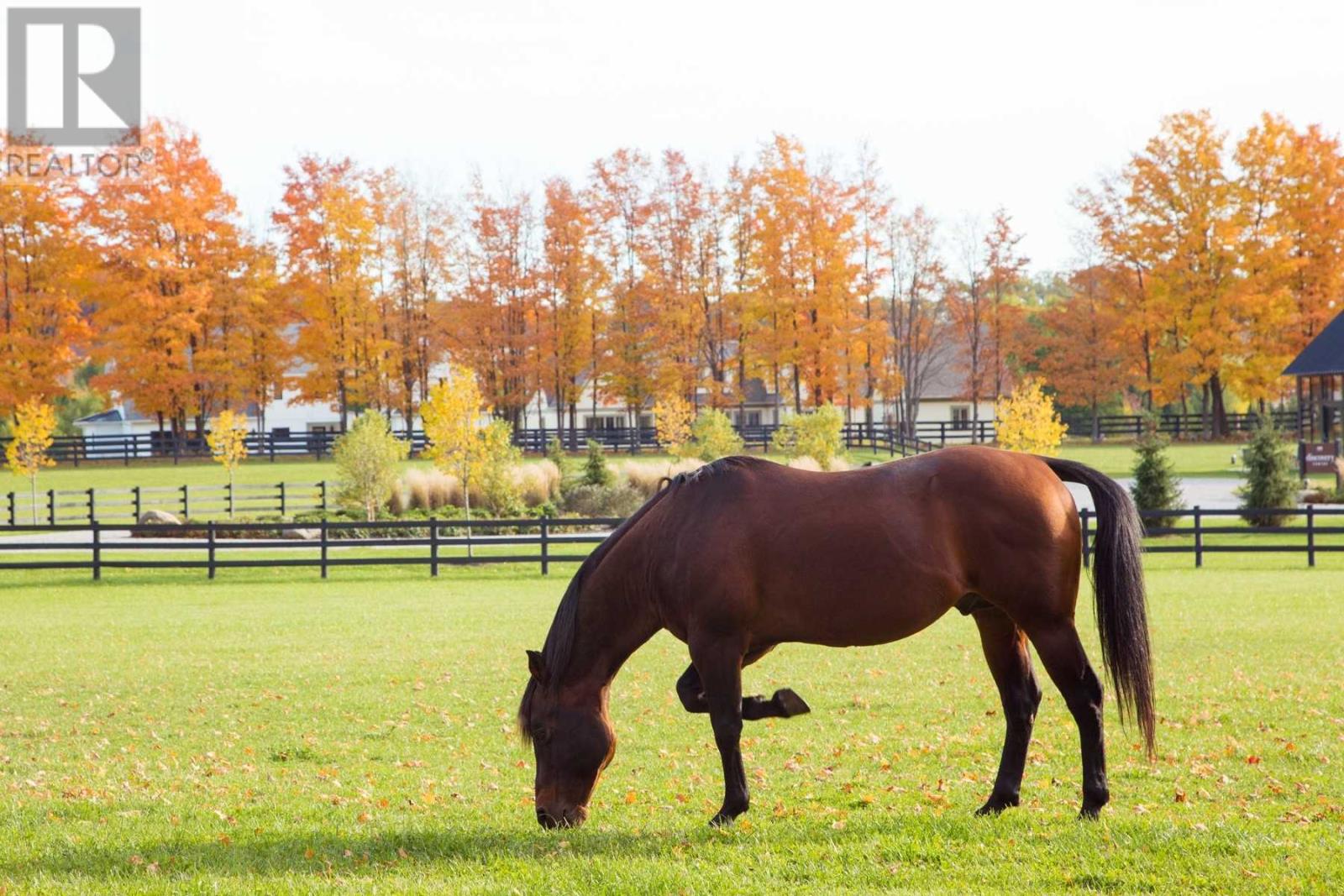 Lot  15 Thoroughbred Dr, Oro-Medonte, Ontario  L0K 1E0 - Photo 7 - S4346220