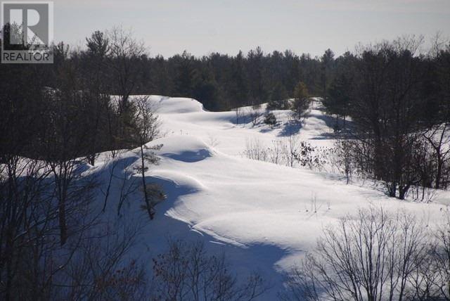 48 Carrick Tr, Gravenhurst, Ontario  P1P 0A6 - Photo 20 - X4392971