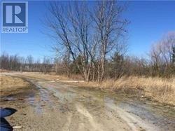 831 6th Line, Innisfil, Ontario  L9S 4R1 - Photo 13 - N4485206