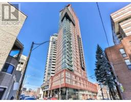 #314 -32 DAVENPORT RD, toronto, Ontario