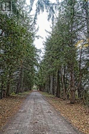 110 Second Line Rd, Cavan Monaghan, Ontario  K1L 1B0 - Photo 20 - X4570773