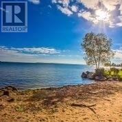 2232 Crystal Beach Rd, Innisfil, Ontario  L9S 3W9 - Photo 19 - N4578263