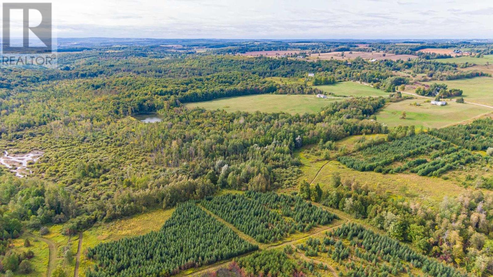 717183 1st Line Line, Mulmur, Ontario  L9V 0G2 - Photo 15 - X4581775