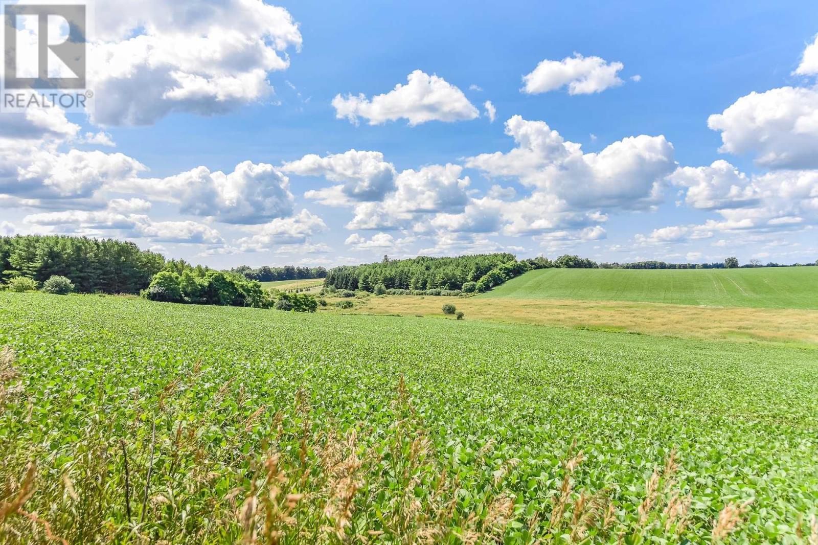 7682 Eighth Line, Guelph/eramosa, Ontario  N1H 6J2 - Photo 13 - X4581951